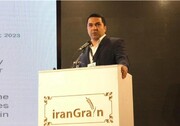 تامین نیاز بازار ایران در گرو واردات 15 میلیون تن غلات تا پایان سال