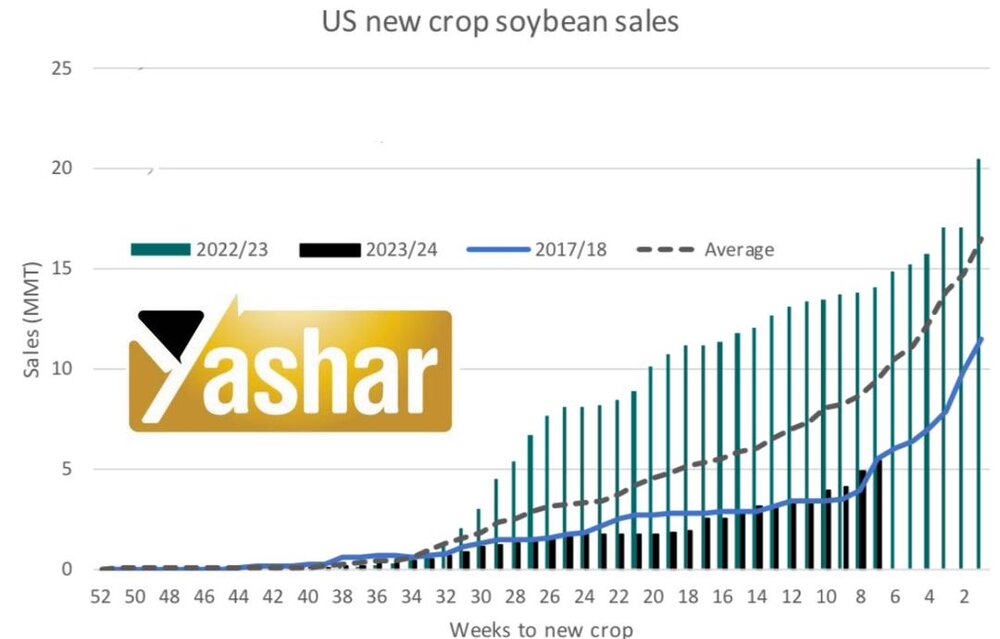 کاهش نسبی قیمت ها و ثبات در بازار غلات / آثار روانی اقدامات روسیه در اوکراین فروکش کرد