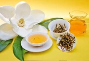 رقیب چای سبزآمد ؛از پاکسازی بدن تا مقاوم سازی در برابر انواع بیماری ها