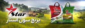 برنج استار