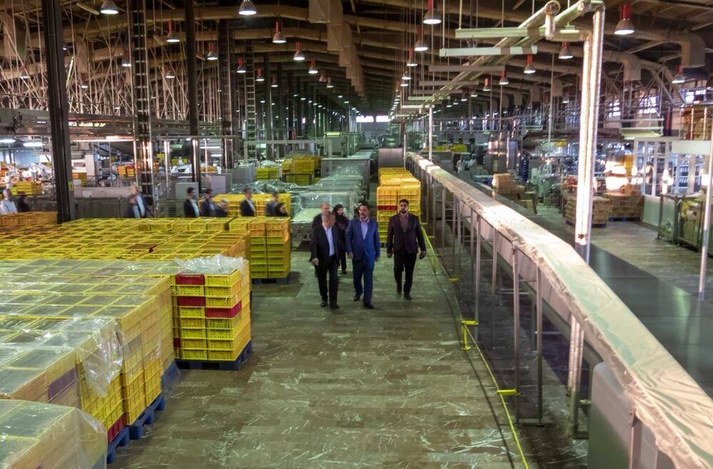 خطوط جدید کارخانجات «شونیز» و «شیرین وطن» به بهره برداری رسید