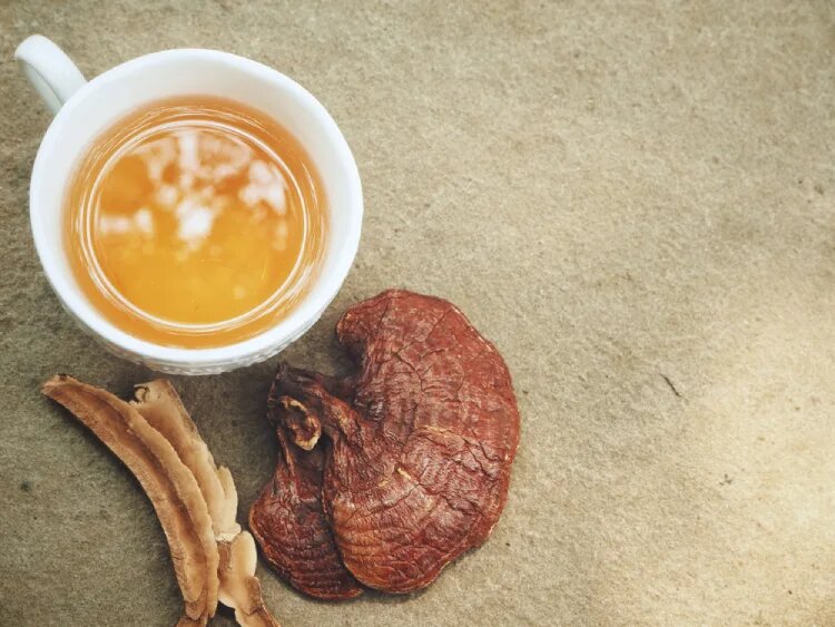 خواص قارچ گانو درما