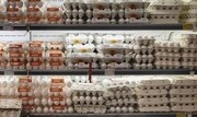 قیمت جدید تخم مرغ بسته بندی رسما اعلام شد +سند