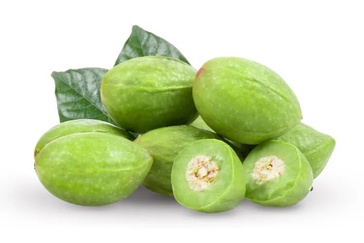 خواص هلیله سیاه