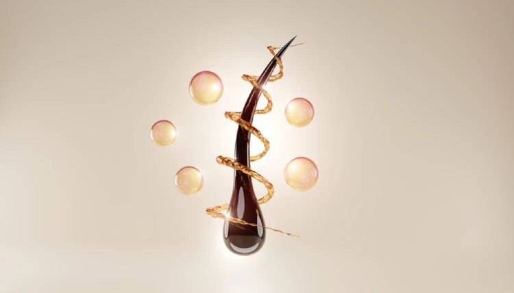 خواص گیاه دم اسبی