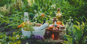 لیست کامل گیاهان دارویی با عکس ( + خواص گیاهان دارویی )