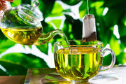 فواید چای سبز چیست؟ ( طبع چای سبز + انواع خاصیت چای سبز )