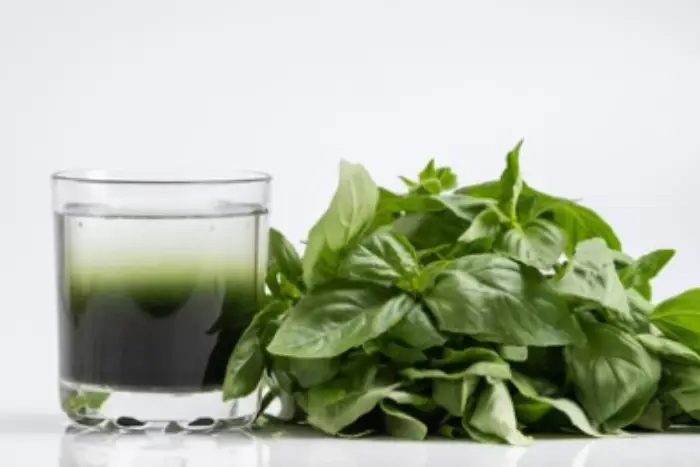 نوشیدنی کلروفیل