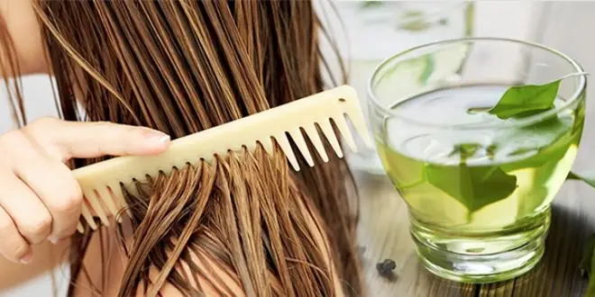 خواص چای سبز برای مو