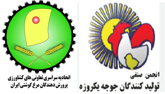 توافق عجیب تشکل های صنعت طیور برای دور زدن عرضه جوجه یکروزه در سامانه بازارگاه/ ۳ هزار تومان بدهید جوجه ۲۴ هزار تومانی بگیرید + سند