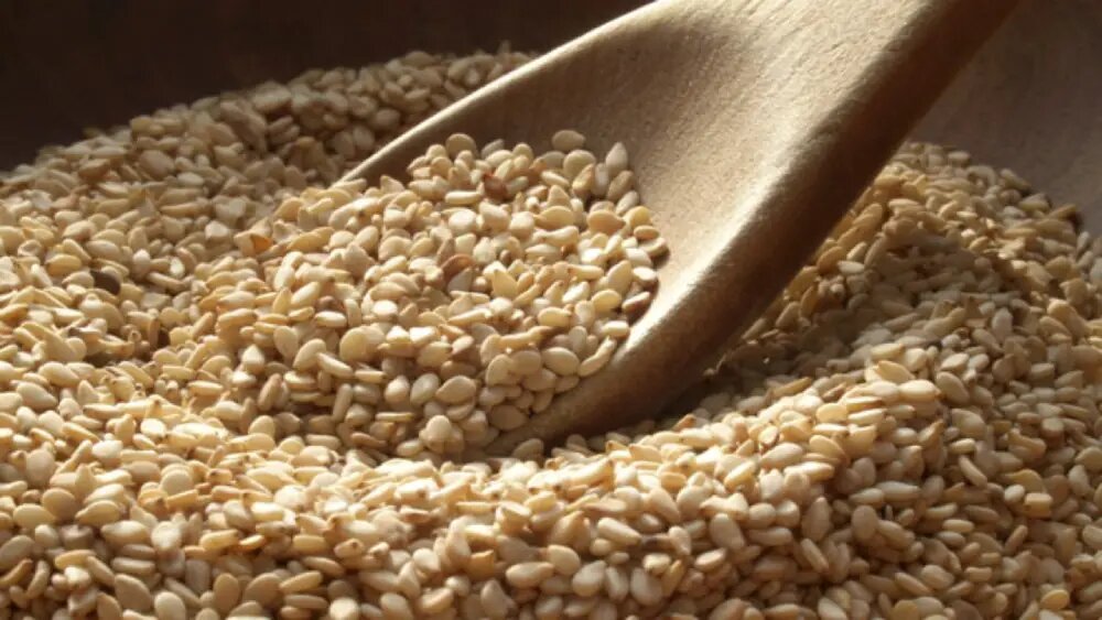 خواص دانه های کنجد