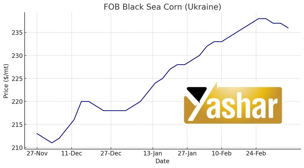 تحلیل بازار ذرت در اوکراین و آرژانتین