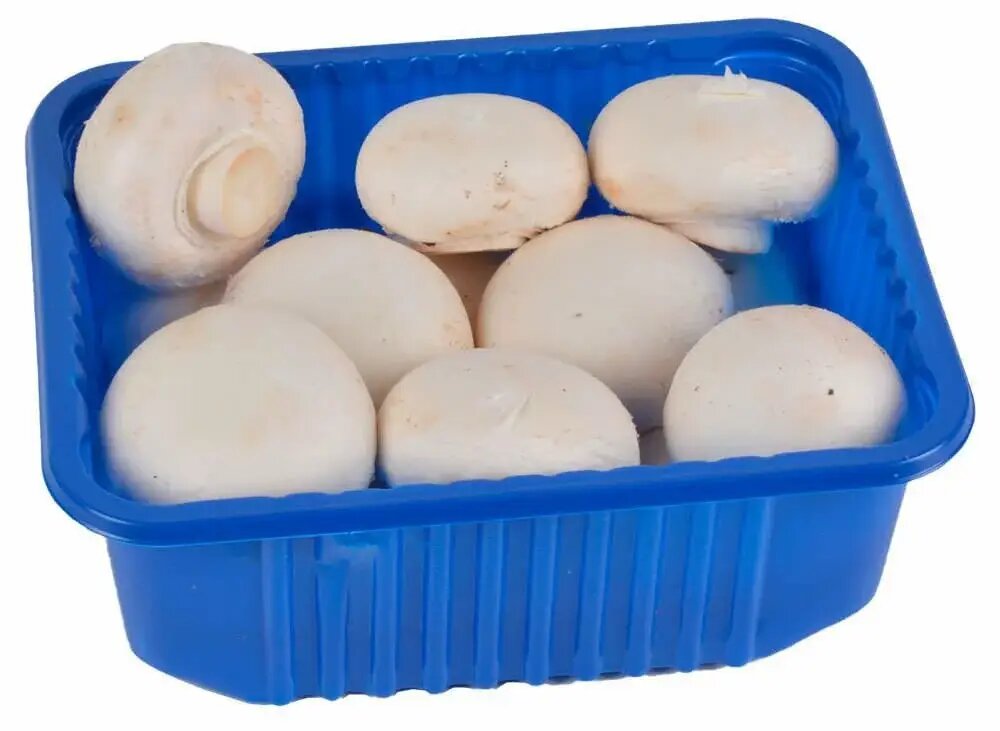 فواید قارچ برای مردان