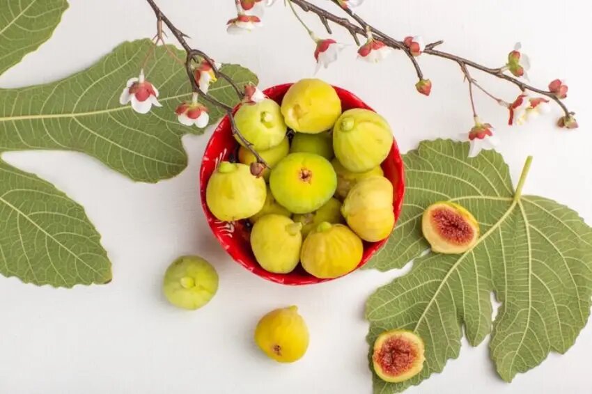 انجیر بهترین میوه روان کننده شکم