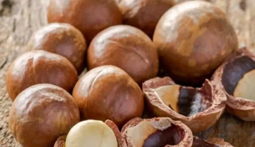 ارزش غذایی فندوق ماکادمیا