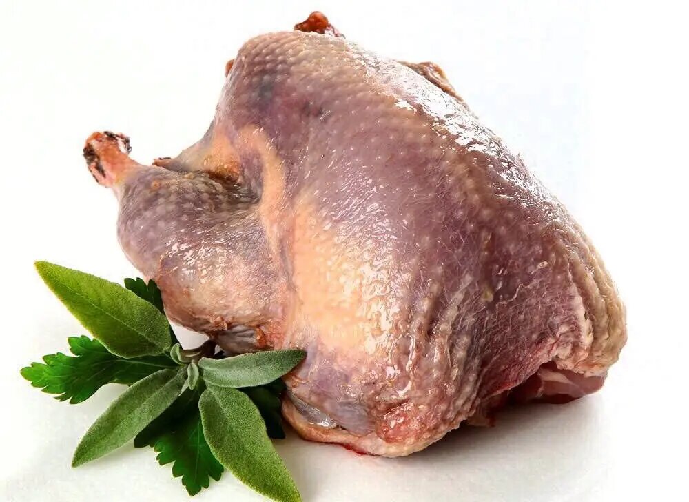 خاصیت گوشت بوقلمون