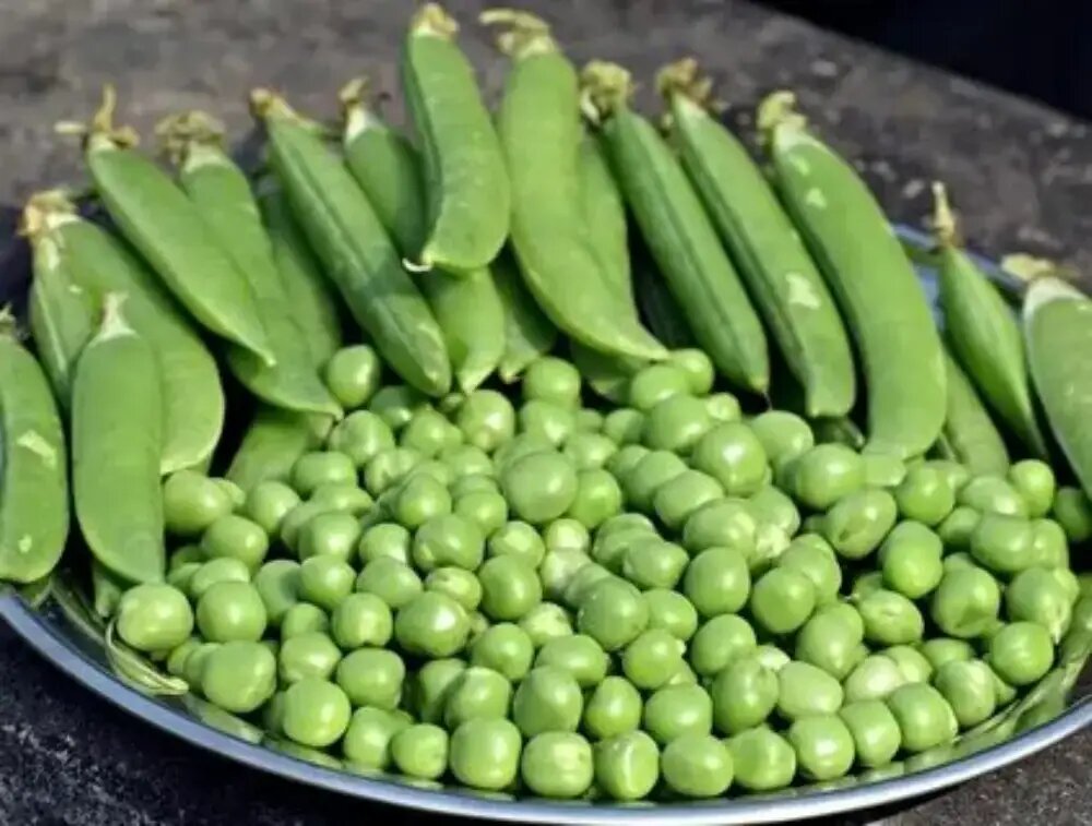 خواص نخود فرنگی برای مردان