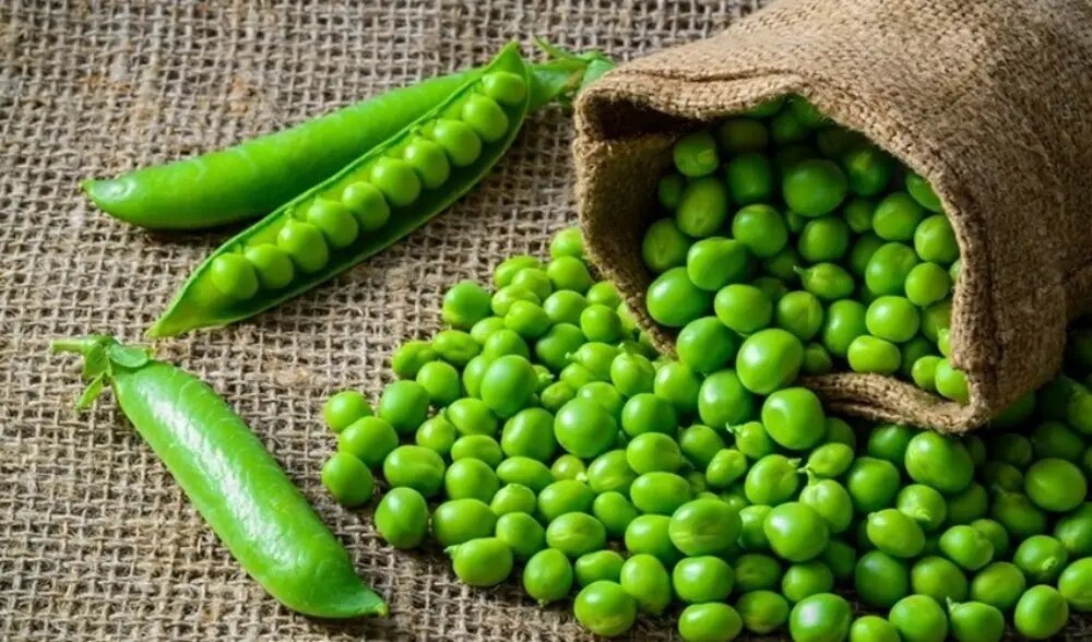 خواص نخود فرنگی در بارداری