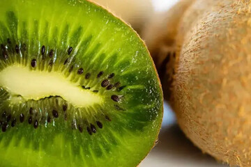 خواص میوه بعد از غذا بهتر است یا قبل آن + بهترین زمان خوردن میوه