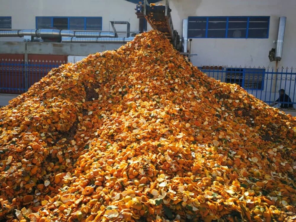 کنسانتره میوه