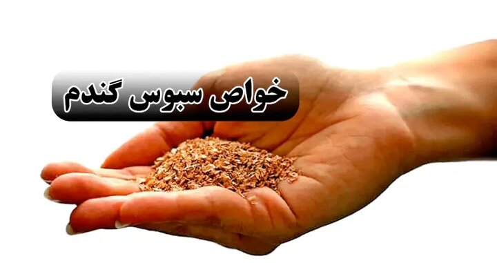 خواص سبوس گندم + طریقه مصرف سبوس گندم