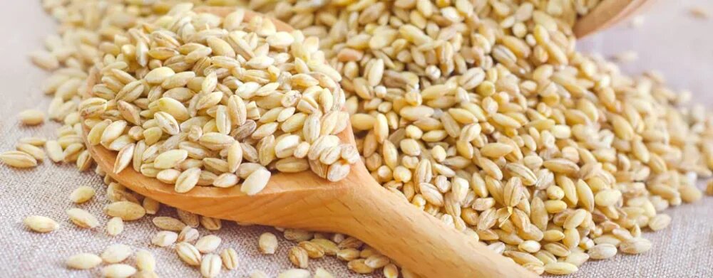 خواص سبوس گندم برای معده