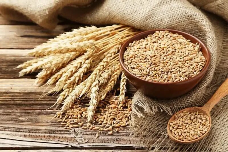 خواص سبوس گندم برای تقویت استخوان ها 