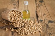 قیمت روغن خام بالاخره اصلاح شد/ قیمت روغن تصفیه شده تغییر نمی کند