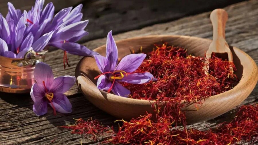 نوین زعفران