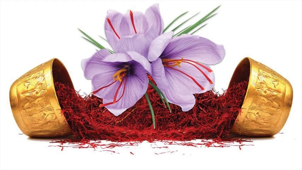 خرید نوین زعفران توسط گلرنگ