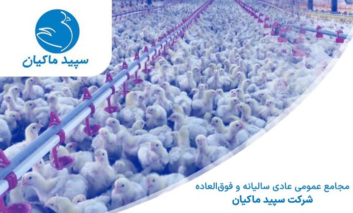 سیاست های غلط دولت بزرگترین زنجیره صنعت طیور کشور را به چالش کشید/ گلایه سهامداران از کاهش ۹۰ درصدی سودآوری به رغم رشد ٦٠ درصدی تولید سپیدماکیان!!!