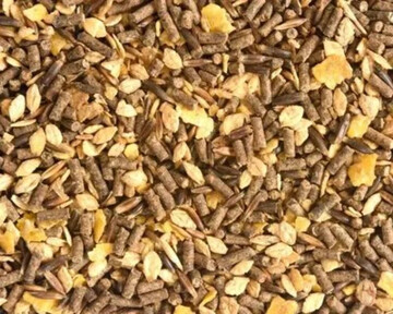 کنسانتره بره پرواری + بهترین کنسانتره برای بره پرواری