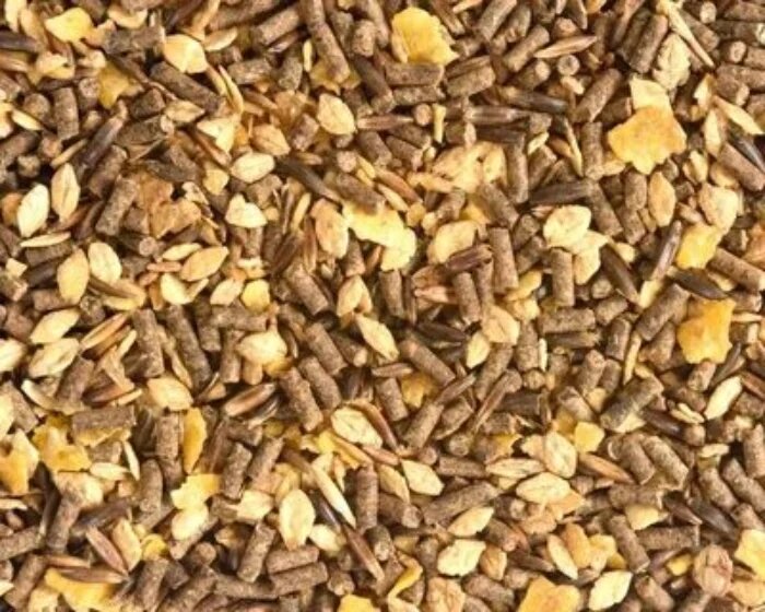 کنسانتره بره پرواری + بهترین کنسانتره برای بره پرواری