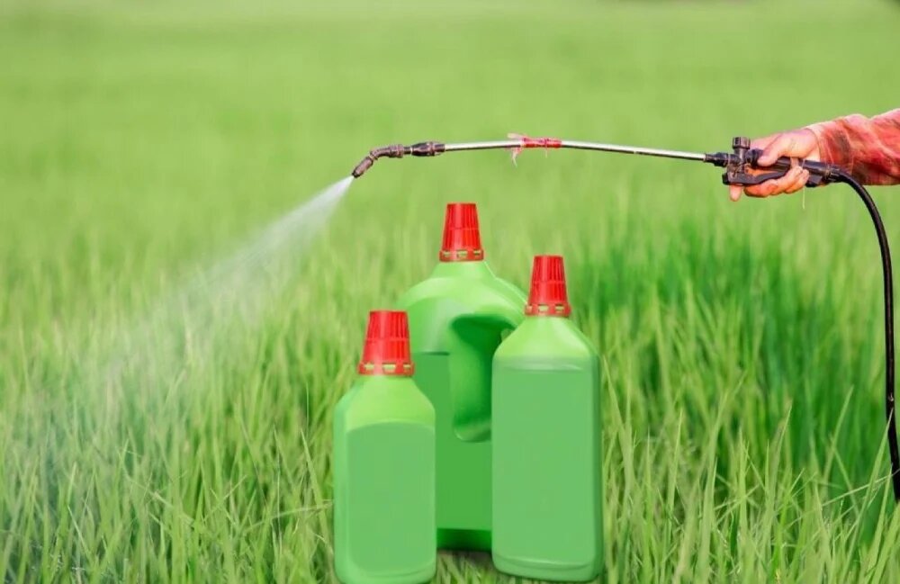 انواع کود ماکرو