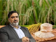 هشدار جهاد کشاورزی مازندران: عدم ثبت ذخایر برنج در سامانه انبارها، عرضه خارج از شبکه تلقی می‌شود