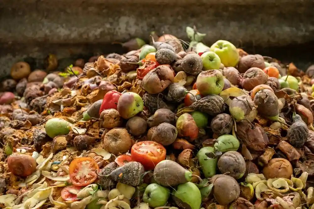 وضعیت تولید خوراک دام از ضایعات کشاورزی در ایران