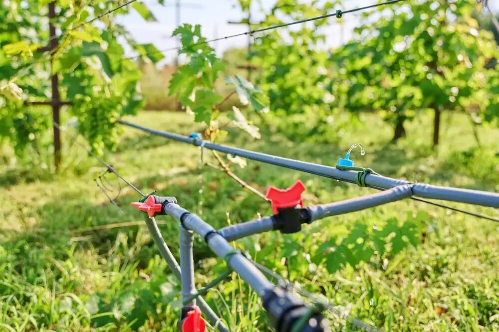 نحوه انجام سیستم ابیاری قطره ای