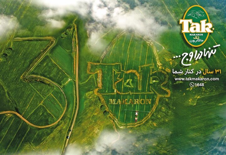 «تک ماکارون» ۳۱ سال همراهی با شما
