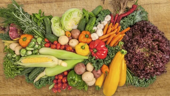 محصولات سازگار با آب شور + راهنمای کامل کشاورزی در مناطق شور