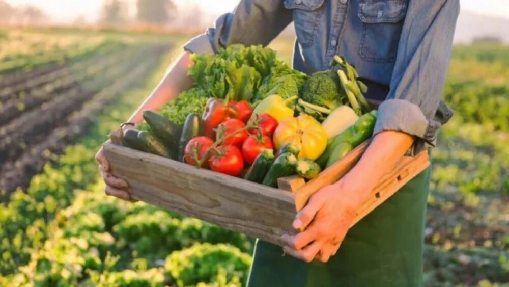 جدول زمان کاشت محصولات کشاورزی