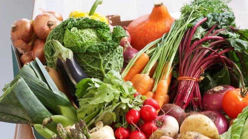 زمان کاشت و برداشت محصولات کشاورزی