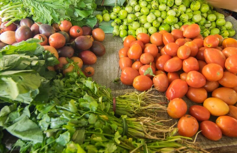  زمان کاشت محصولات کشاورزی در مناطق مختلف 