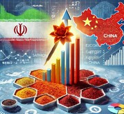 صادرات زعفران ایرانی به چین قطره چکانی شد/ زعفران ایرانی در آستانه بحران صادراتی جدید