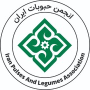 سهمیه کسر شده از واردکنندگان حبوبات به چه کسانی تعلق گرفته است؟!