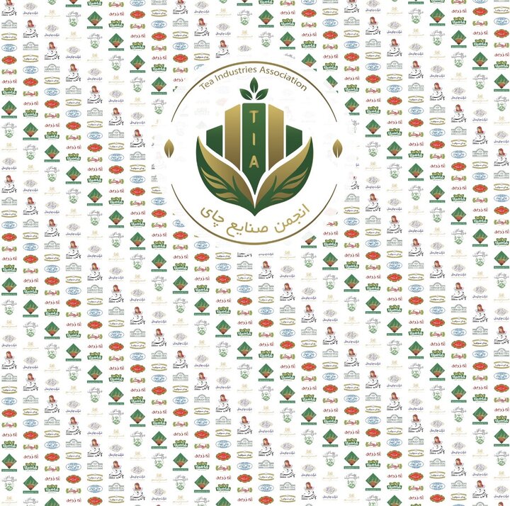 بزرگان صنعت چای گردهم آمدند/ انجمن صنایع چای رسما آغاز به کار کرد