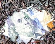 سندیکای کارخانجات چای شمال به دنبال واردات چای!!! + سند