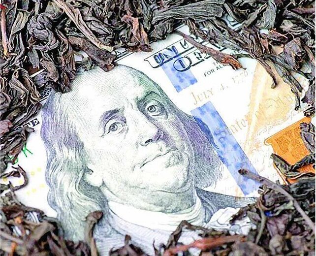 سندیکای کارخانجات چای شمال به دنبال واردات چای!!! + سند