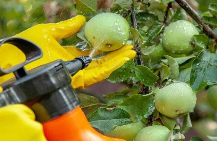 فصل سم پاشی درختان + تقویم فصلی، تقویم گونه‌ای سمپاشی درختان میوه