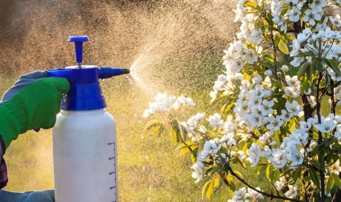 سمپاشی درختان میوه