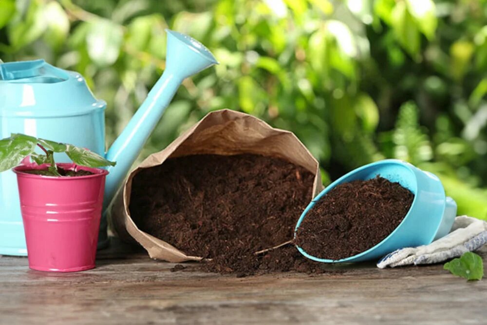 بهترین خاک برای گلدان آپارتمانی